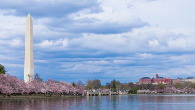 Thủ đô của Mỹ -First Consulting Group