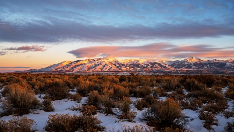 Bang Nevada ở đâu? Khí hậu, cuộc sống và cơ hội định cư cần biết – First Consulting Group
