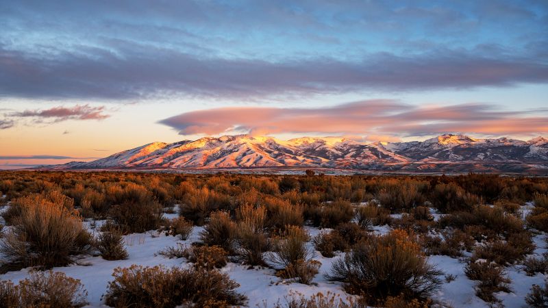 Bang Nevada ở đâu? Khí hậu, cuộc sống và cơ hội định cư cần biết – First Consulting Group