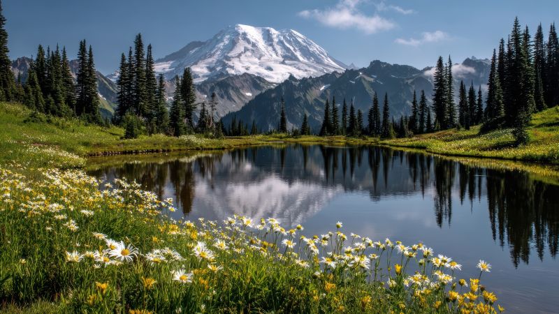 Alaska Hoa Kỳ có gì hấp dẫn? Hành trình khám phá vùng đất băng giá kỳ vĩ cùng First Consulting Group