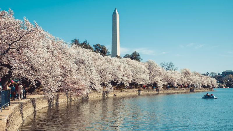 Thành phố Seattle thuộc bang nào của Mỹ? Sự thật nhiều người Việt vẫn nhầm lẫn - First Consulting Group