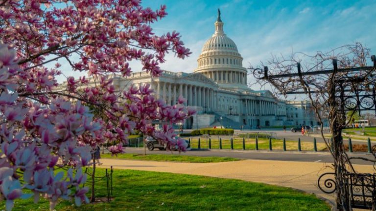 Thủ đô của Mỹ qua góc nhìn người Việt theo chia sẻ từ First Consulting Group