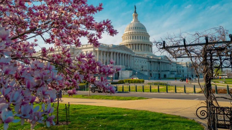 Thủ đô của Mỹ qua góc nhìn người Việt theo chia sẻ từ First Consulting Group